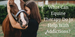 Equine Therapy